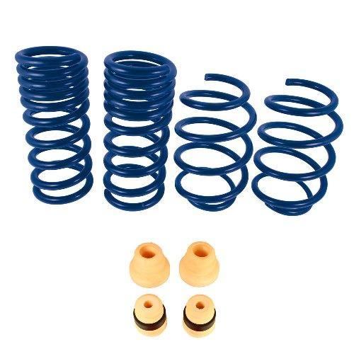 Ford Performance 2015-2017 Mustang Track Lowering Springs