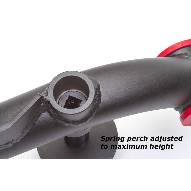 Maximum Motorsports Extreme-Duty Adjustable Mustang Rear Lower Control Arms, 1999-04 Mustang, solid axle MMRLCA-33