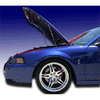Redline Tuning Hood Lifter (1978-1998; 1999-2004 Mustang) PLUS PAINTED (1999-2004 Mustang) Select color below RLTHL-QL-7998-PP