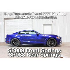 BMR Suspension Lowering Springs, Front, Minimum Drop, Performance Version, Red