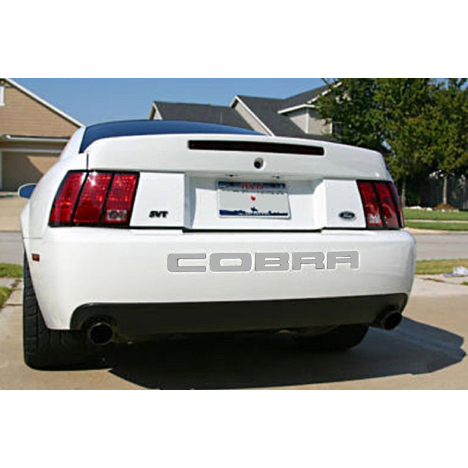 Steeda Mustang Rear Bumper Insert Decal - Silver (03-04 Cobra) 483 2003 S