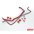 UPR 05-10 Mustang Anti-Roll Sway Bar Kit 35101.320 EIB-35101-320